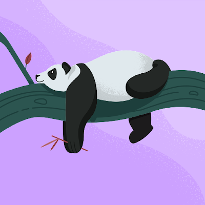 nobodykn0win's profile picture. 