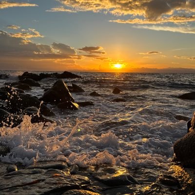 PPrincipal421's profile picture. 