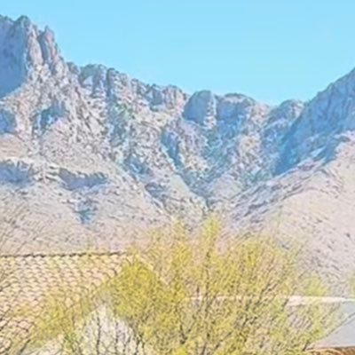 jcincrypto's profile picture. investor, trader, paralegal