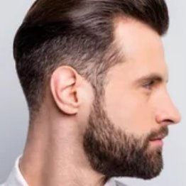 bris_bear1's profile picture. 