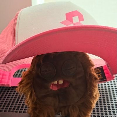 advaith's profile picture. Building the unimaginable @SuccinctLabs