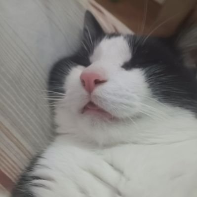 lssarjlife's profile picture. Comentarista no twitter.