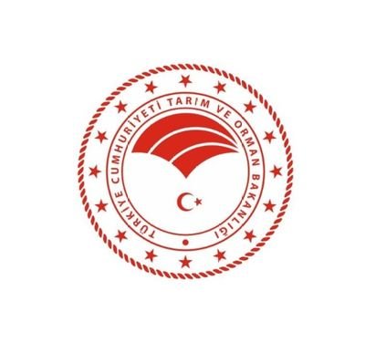 DadayTarim's profile picture. 