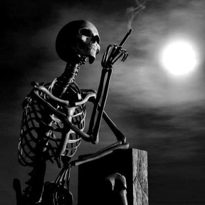 NiwaRonnie's profile picture. fuck y’all