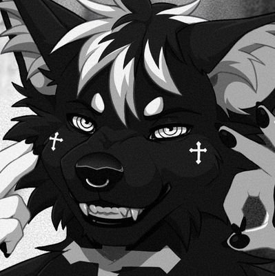 JankaHUN07's profile picture. ☣ 18 YO•🇭🇺🇷🇸🇨🇦•Straight•Top•Avarage Female Boyfriend•K-drama and K-pop addict ☣