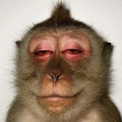 DeeUnbroken's profile picture. I just want my peace ! Please stay disliking me as your safety depends on it 😌 #HAPPYBEING! The only competition I acknowledge is MY YESTERDAY 👌🏾🥰