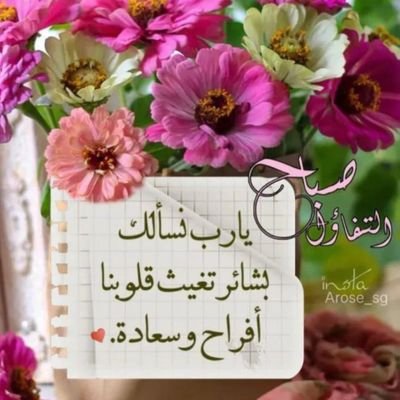 GeniusTrader0's profile picture. 