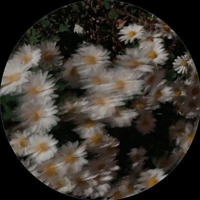 piyush_jaat0318's profile picture. Just a normal guy :)