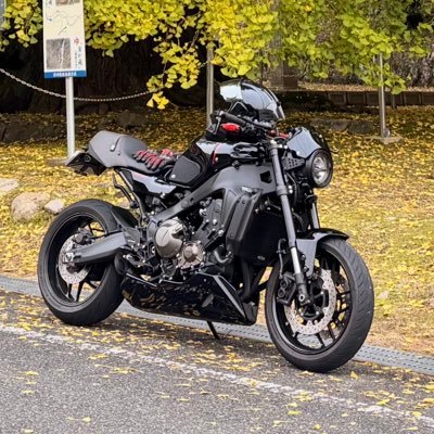 omurice9230's profile picture. 動物さんが好きです