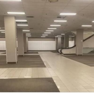 jk61711's profile picture. ビートボックスと猫を撫でることが好きです。