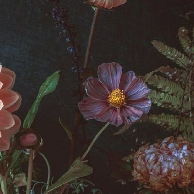 ekimsek's profile picture. 