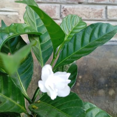 Habibur54290's profile picture. 🤷‍♀️Business & Marketing Tips🙋‍♀️$FAN Maxi
👉Learn How To Make Passive Income For Free 👇👇👇