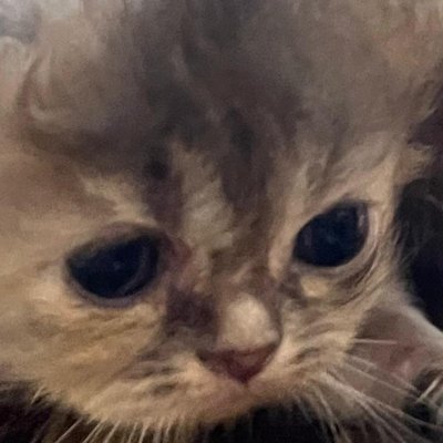 rafiy_26's profile picture. Telyutizen

https://t.co/X1hj7kv7yz