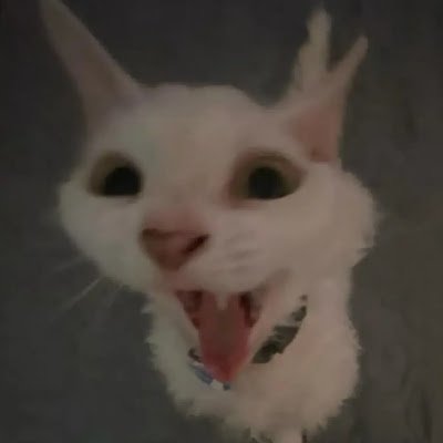 Web146573317033's profile picture. 