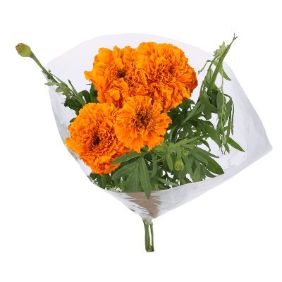 abbymachines's profile picture. artist & musician & software developer

she/her

💖 new EP "AB" at https://t.co/h9KkIyqrpF 💖

follow me on bluesky! same username there