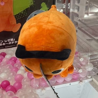 seekdokkan's profile picture. 雑多垢