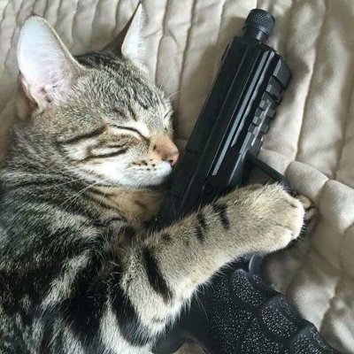 glockonchain's profile picture. The guy coins call when they need clout | Founder @AstroCrewX — Viral marketing for crypto projects