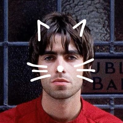 liamontruther's profile picture. ⊹ ࣪ ˖ #1 supersonic lover | 🇵🇸🇸🇩🇺🇦
she/her 𐦍