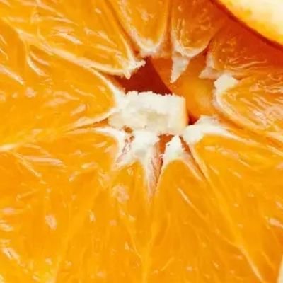 Aelith5555's profile picture. 