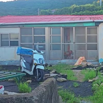 gyubiubi's profile picture. inactive