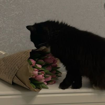 bloodmooncrying's profile picture. นัก(อยาก)เขียนท่านหนึ่ง
✧( #billybabe )✧ only health 
ミ #hengpnp ミ
ᕦ #bbi1ypn ᕤ  (●⁠´ #babiibabe `⁠●⁠)