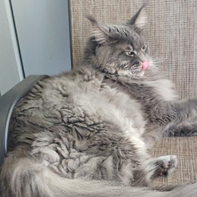 KaDArgo4's profile picture. PhD In Sarcasm

Go strapped or get Clapped

"God made men, but Sam Colt made them equal"

15yr Paramedic

No crypto
No OF