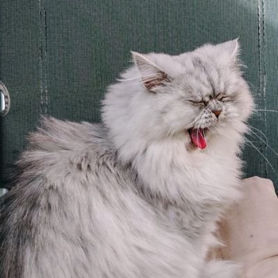 MMirrorspeczg's profile picture. Da mi je stalo do vašeg misljenja imala bih knjigu dojmova‼️
♂️♀️✝️🙏🏻🙋‍♀️🇭🇷🇩🇪🇷🇺🇸🇮💙