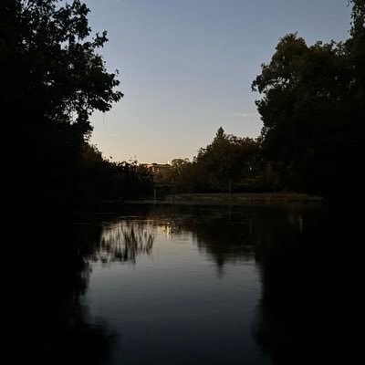 lambsylou's profile picture. 