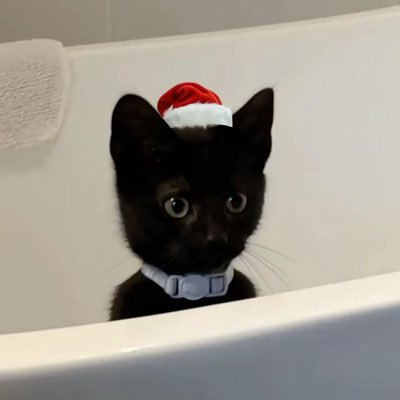 julyjulying's profile picture. 𐙚⋆°｡⋆♡ @biblesumett , @jesjpp | @euroyotsawat ⋆˙⟡♡