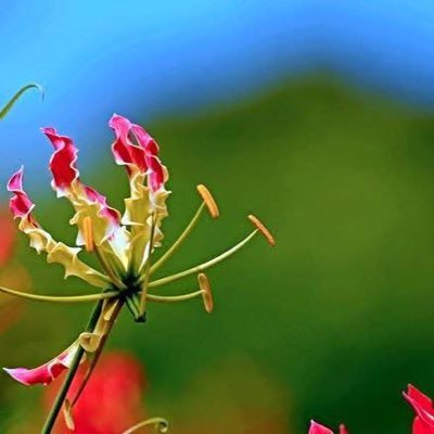 IMathuSpeaks's profile picture. 