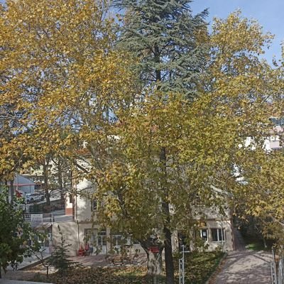 IBursal's profile picture. ayinesi iştir kişinin lafa bakılmaz