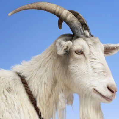 momotradesold's profile picture. just search 👉 “Momo Trades” on YouTube.... if you also day trade bitcoin perps....