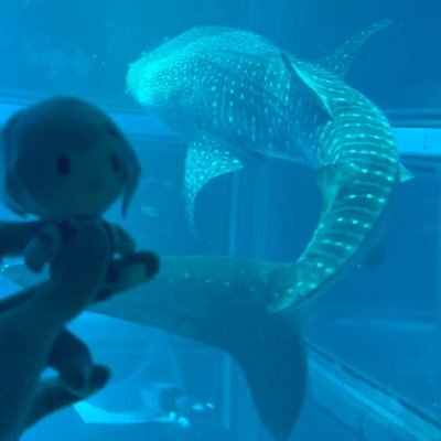 JohnDoe_1103's profile picture. カービィ テトリス プロセカ アリブレ      スマブラ その他ゲーム全般