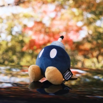 boya_photo's profile picture. 