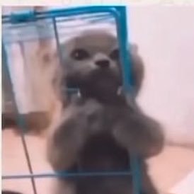 Jakellynee__'s profile picture. Doutor eu não me engano, meu coração é Corinthiano 🦅🖤@Corinthians