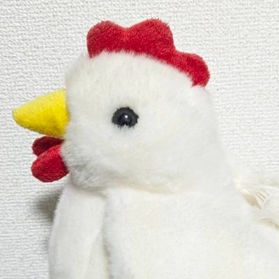 mio_11_gr's profile picture. Mio
🏀サブ垢　　　　本垢👇️