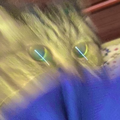 kim52545's profile picture. 実家に愛猫います みんなでやろう楽しいゲーム！ 【🦹🎸@okmecham 】モンハンワイルズ:マイクラ:MHWIB,RSB:Db D:Ow2:Sky/ソロゲー:デススト:レガシー:ニーア 絵垢@pike_is_here