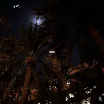 Zorroox2's profile picture. 🏦🧾