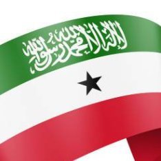 SNM1991_'s profile picture. Independent, accurate, and committed to countering misinformation.