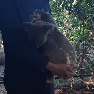 Satadata_'s profile picture. 