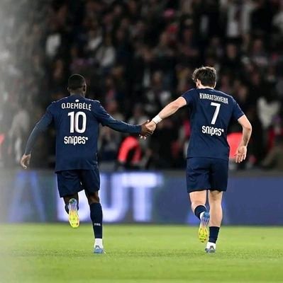 BOURGEOISI83231's profile picture. 