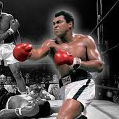 Thesaron3's profile picture. GÉNOCIDE EN R.D.C 
" TOUS NOS ENNEMIS SERONT SAISIS DE HONTE ET DE TREMBLEMENT ; ILS RECULERONT... "

#RWANDA IS KILLING .