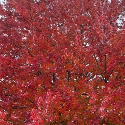 morinsolaarr's profile picture. 