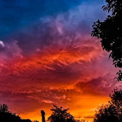 devvotto's profile picture. 