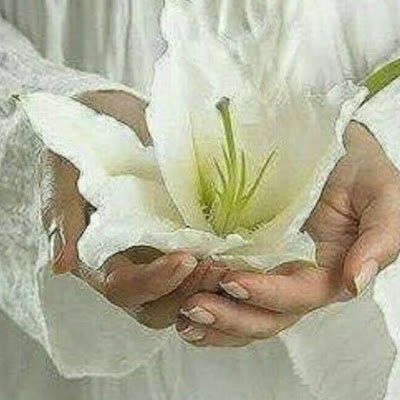 Natal4260585911's profile picture. 