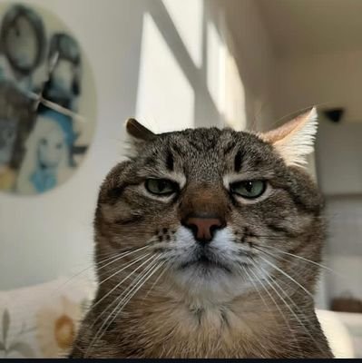 _acetylcholine_'s profile picture. ببخشید پشتم به شماس