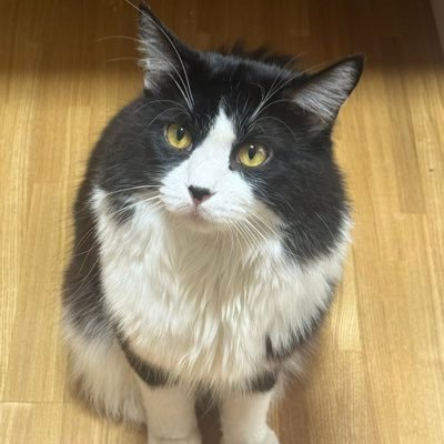 aeroITC's profile picture. 