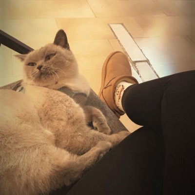 ceylannnsuuu's profile picture. 