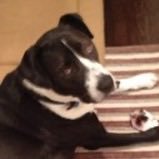 MichaelJfox012's profile picture. 