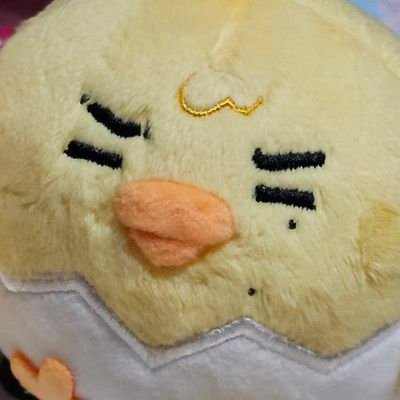 nrkluvs09's profile picture. ⋆ ₊ ☽ ·˚𓍲 *⋆ — #Always_together with #ENHYPEN ♡